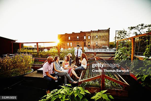 group of friends having drinks in rooftop garden - rooftop garden stock pictures, royalty-free photos & images