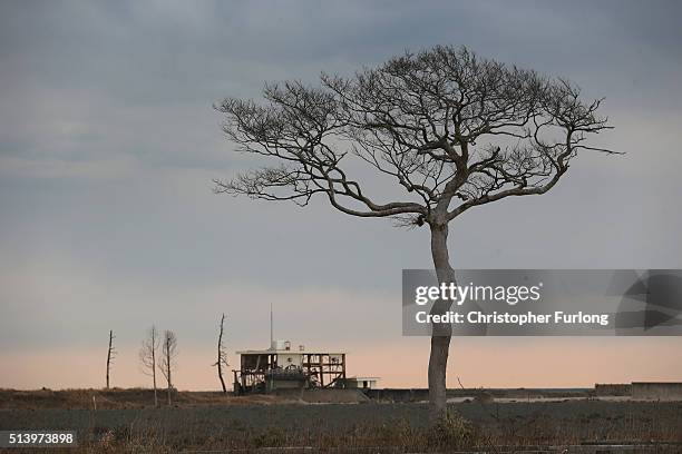 Lone house sits on the scarred landscape, inside the exclusion zone, close to the devastated Fukushima Daiichi Nuclear Power Plant on February 26,...