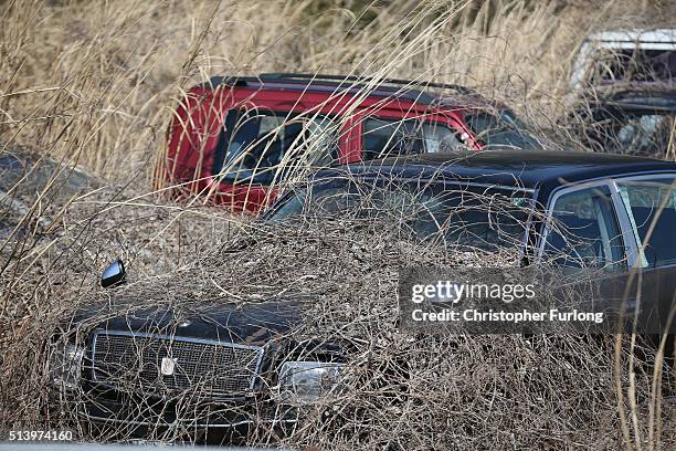 The passing of five years shows on a car park as vegetation and the elements begin to take their toll on homes and businesses inside the deserted...