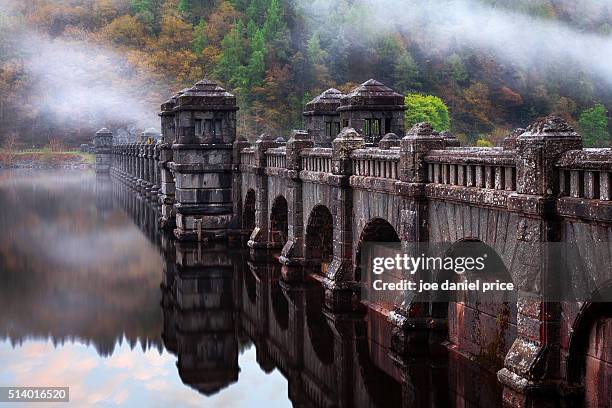 vyrnwy dam, wales - lake vyrnwy 個照片及圖片檔