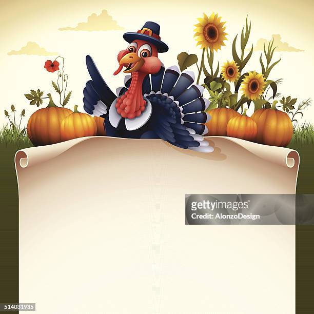 stockillustraties, clipart, cartoons en iconen met pilgrim turkey with scroll sign - kalkoen