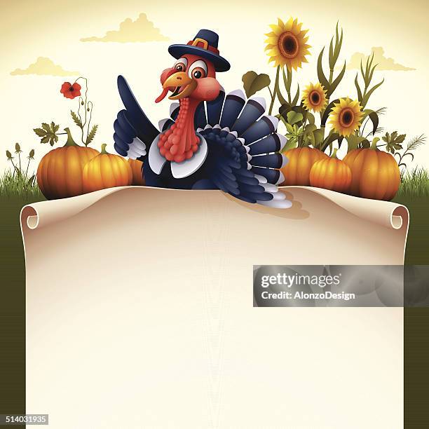 pilgrim turkey with scroll sign - pilgrims stock illustrations