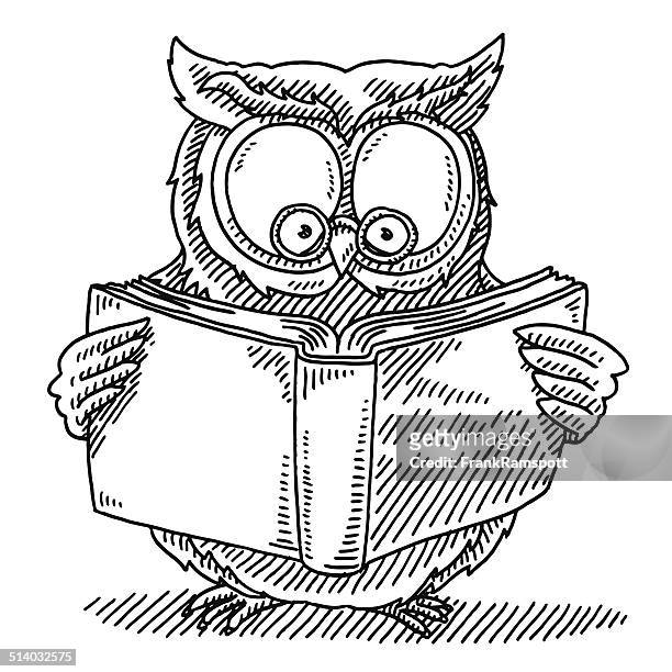 ilustrações, clipart, desenhos animados e ícones de lendo livro de desenho de coruja wise - olho de animal