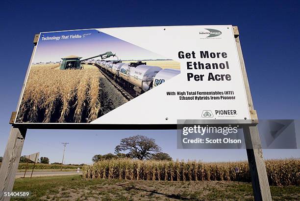Sign at the edge of a corn field advertises a variety of corn seed developed for ethanol production October 4, 2004 near Freeport, Illinois. Certain...