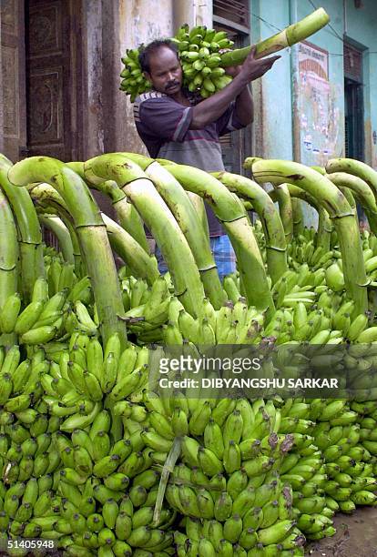 Fruit vendor readies his merchandise before heading to the market in Madras, 10 October 2002. Thousands of small business owners are counting the...