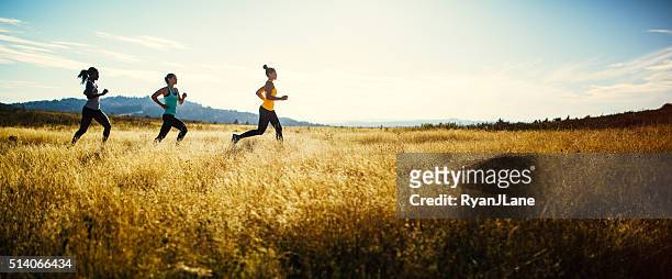 group of women running in nature area - panoramic view stock pictures, royalty-free photos & images