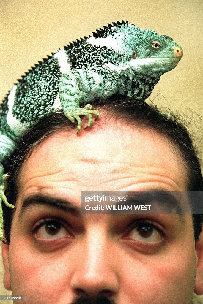 Taronga Zoo keeper Michael Musta has a critically