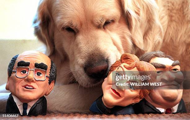 Jake the Golden Retriever sniffs new chewy dog toys in the likeness of Australian political leaders including the Prime Minister John Howard , One...