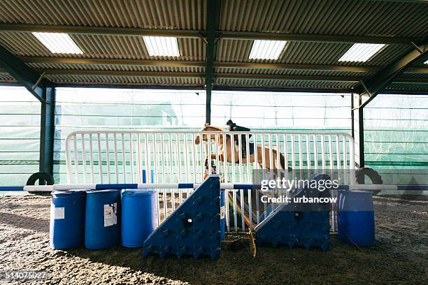 English Horse Stable Photos and Premium High Res Pictures - Getty Images