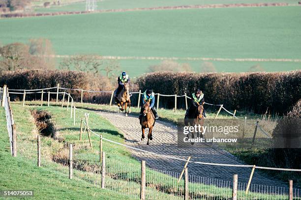 racehorses, exercise track - racehorse stock pictures, royalty-free photos & images
