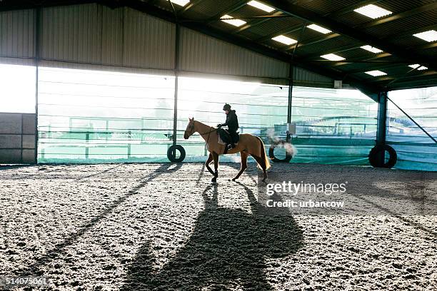 racehorse, early morning exercise - jockey racehorse stock pictures, royalty-free photos & images