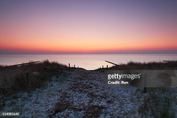 way to the beach throgh the dunes at baltic sea - marram grass stock pictures, royalty-free photos & images