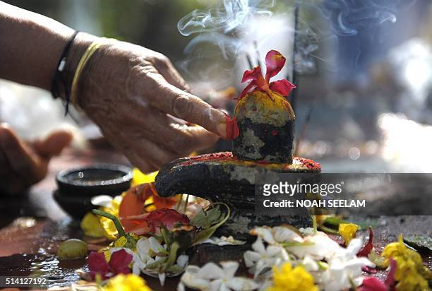 An Indian Hindu devotee offer prayers to a Shiva Lingam, a stone... News  Photo - Getty Images