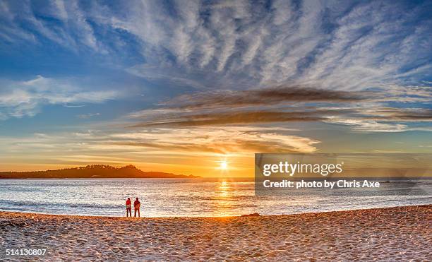 point lobos sunset - carmel, ca - carmel california stock-fotos und bilder