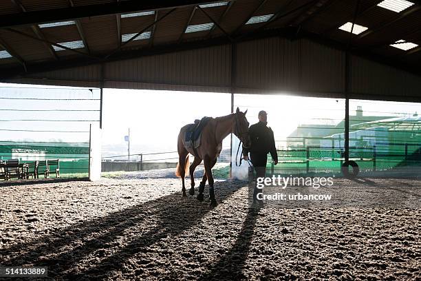 競走馬、冬 - stable ストックフォトと画像