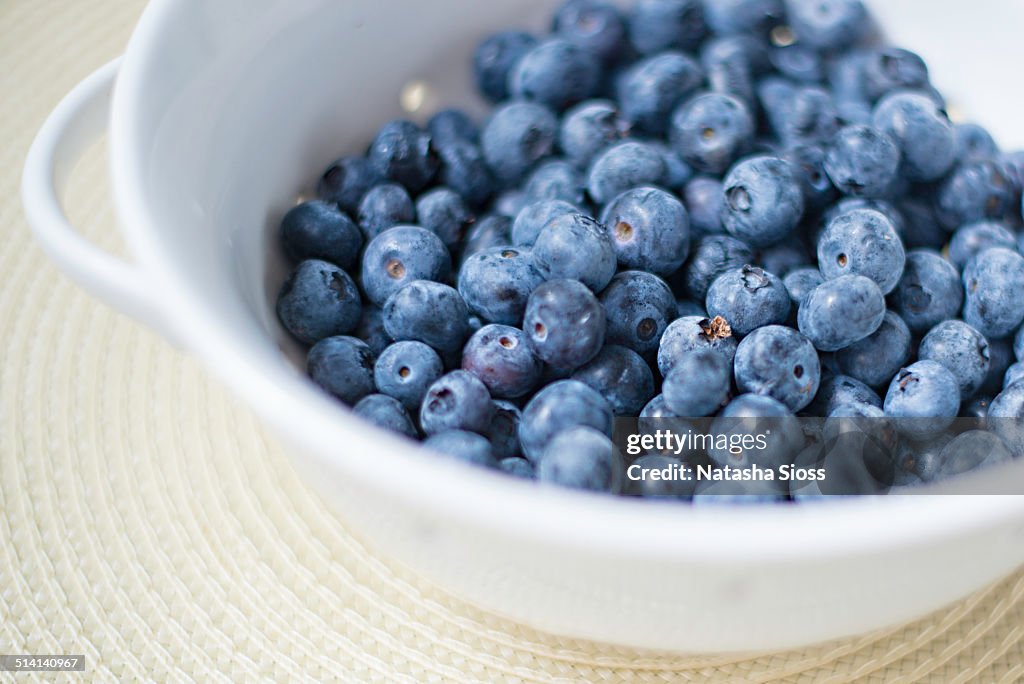 Bowl of fresh blueberries