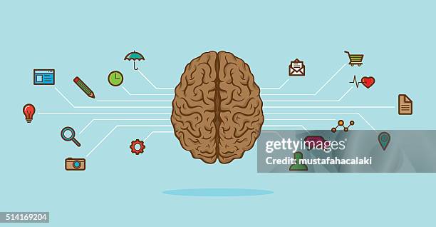 illustrazioni stock, clip art, cartoni animati e icone di tendenza di cervello schema - emisfero cerebrale destro