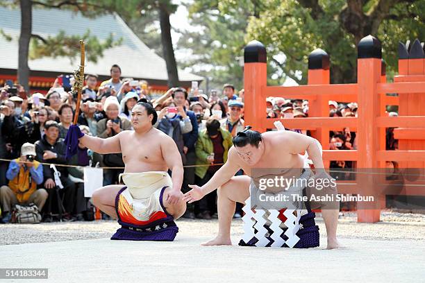 Japanese Ritual Sumo Yokozuna Perform Dohyo Iri Ritual At Sumiyoshi Taisha Shrine Photos and ...