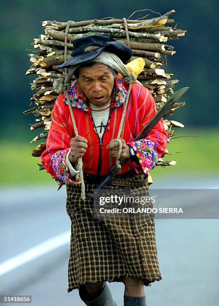 An indigenous farmer walks with a machete in hand and a pile of wood on his back towards the town of San Lucas, near Guatemala City, 02 September...