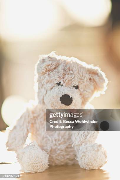 white teddy bear - clovis new mexico stock pictures, royalty-free photos & images