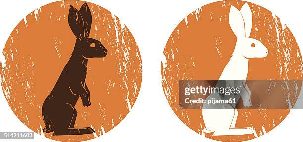 995 Orange Rabbit Stock Photos, High-Res Pictures, and Images - Getty ...