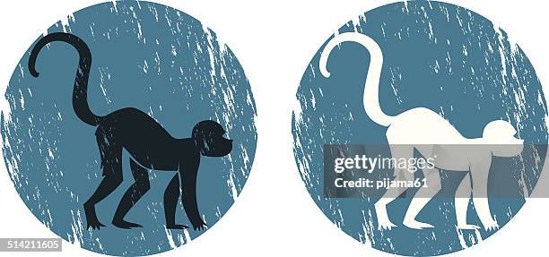 monkey - baboon stock illustrations