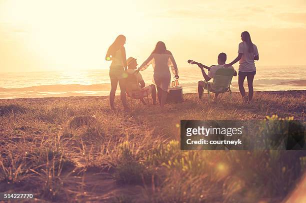 group of friends relaxing at the beach. - tropical music stock pictures, royalty-free photos & images