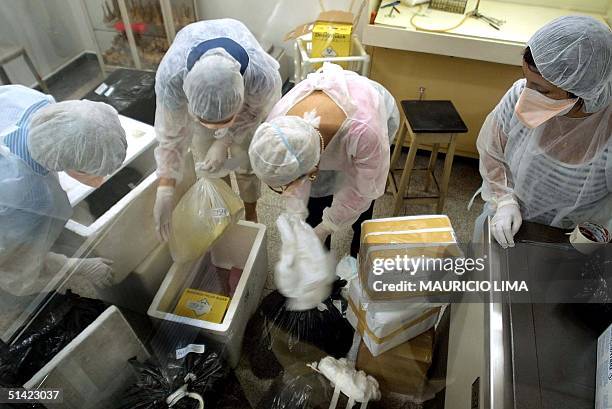 Technicians inspect suspicious packages in Sao Paulo, Brazil24 October 2001. Biologas brasilenas del Instituto Adolfo Lutz abren una caja con...