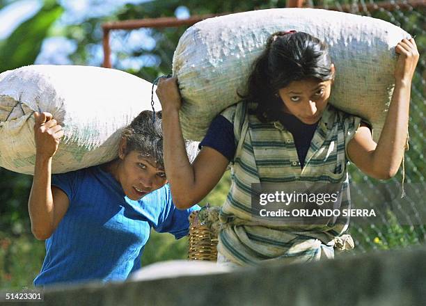 Two women carry sacks of coffee, El Pacon farm, 130 km east of Tegucigalpa 19 March 2002. Dos mujeres cargan el 19 de marzo de 2002 sacos conteniendo...