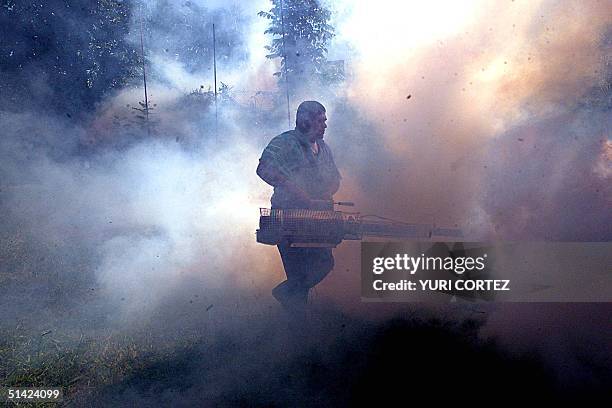 An employee of the Salvadorean Social Security fumigates, 21 June 2002, during an intense campaign to erradicate the "Aedes Aegypti" mosquito that...