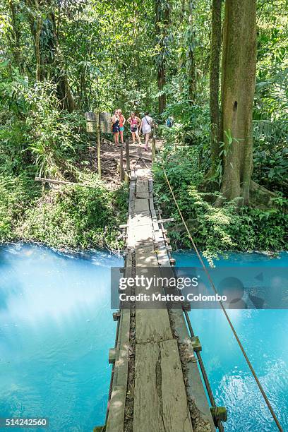 suspension wooden bridge crossing rio celeste river, costa rica - parque nacional volcán tenorio fotografías e imágenes de stock