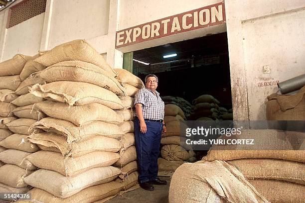 Carlos Portillo, an administrator at Los Ausoles coffee plantation is seen with sacks ready for exportation as the country's farmers find themselves...