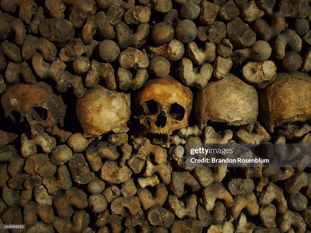 Catacombs of Paris