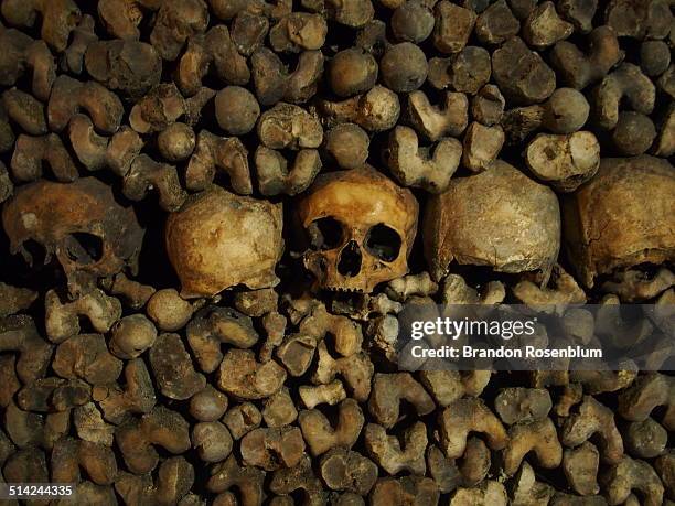 catacombs of paris - catacomb stock pictures, royalty-free photos & images