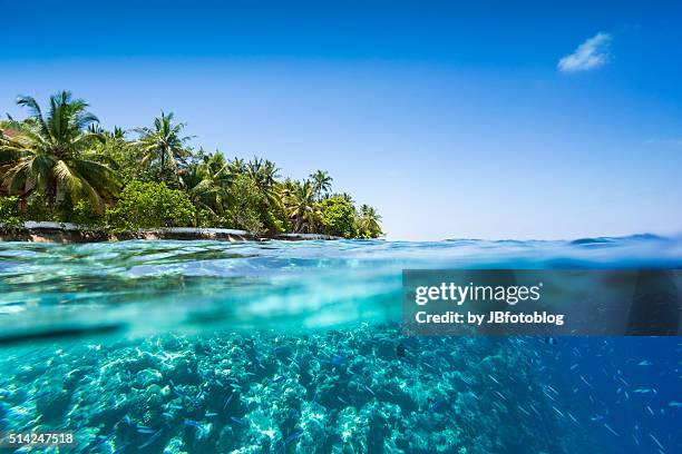 maldives half underwater, deep blue - male maldives ストックフォトと画像