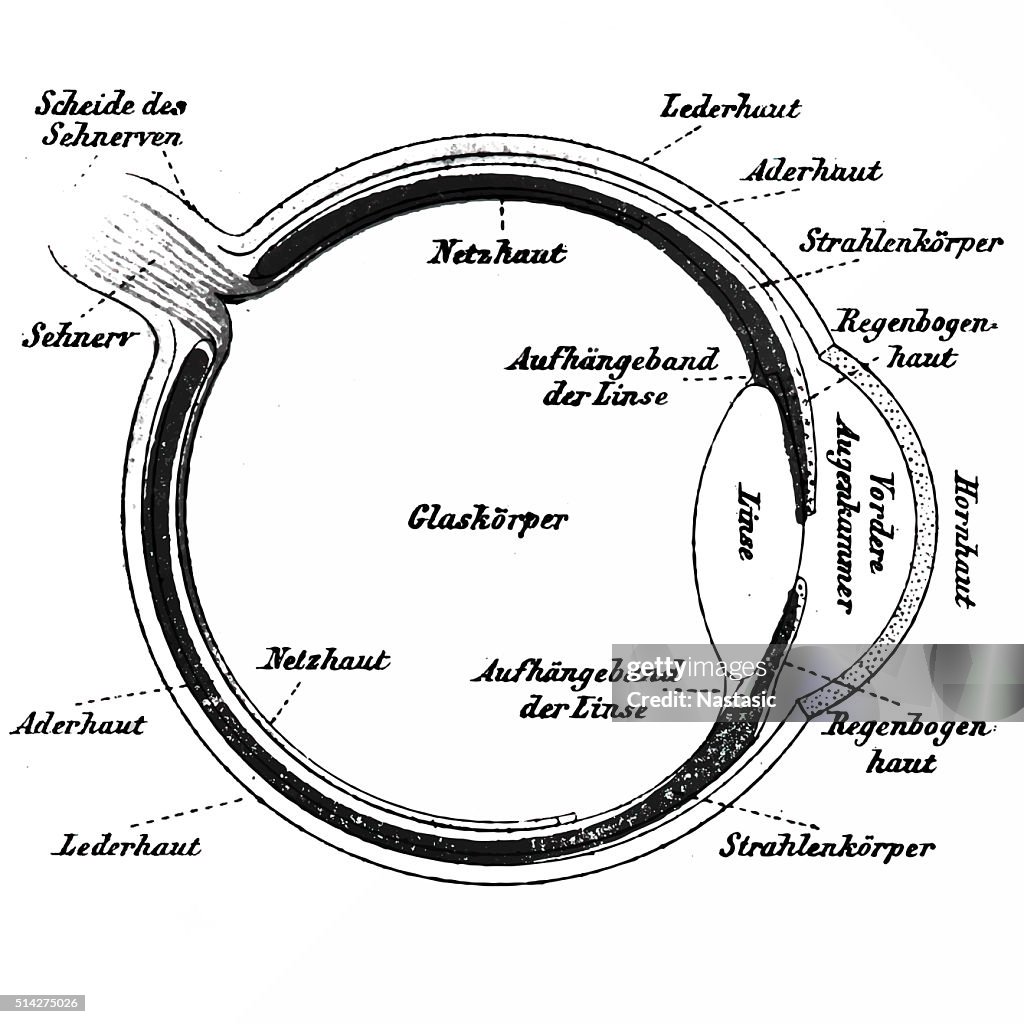 Menschliches Auge, veröffentlicht wurde 1898