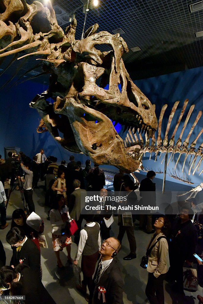 The Dinosaur Expo Press Preview