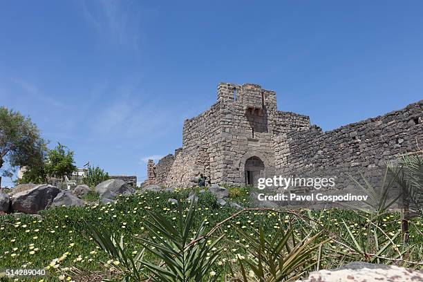 the desert castle qasr al-azraq in jordan - qasr al azraq stockfoto's en -beelden