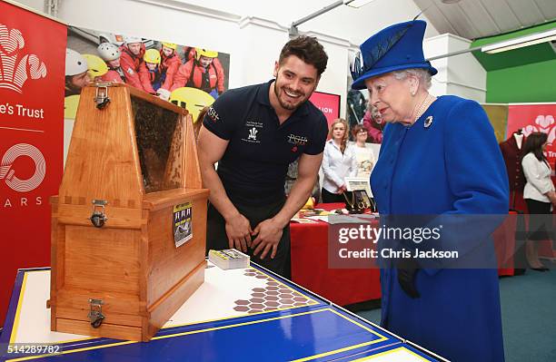 Queen Elizabeth II is shown the Queen Bee in a swarm of 30,000 by Peter Higgs of PGH Pest Control at the Prince's Trust Centre in Kennington on March...