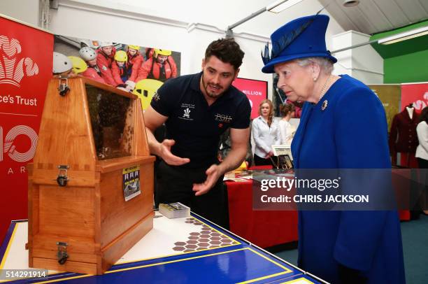 Britain's Queen Elizabeth II is shown the Queen Bee in a swarm of 30,000 by Peter Higgs of PGH Pest Control during a visit to the Prince's Trust...