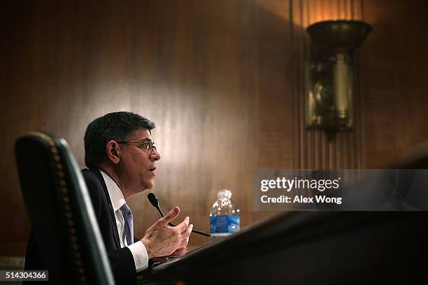 Secretary of the Treasury Jacob Lew testifies during a hearing before the Financial Services and General Government Subcommittee of the Senate...