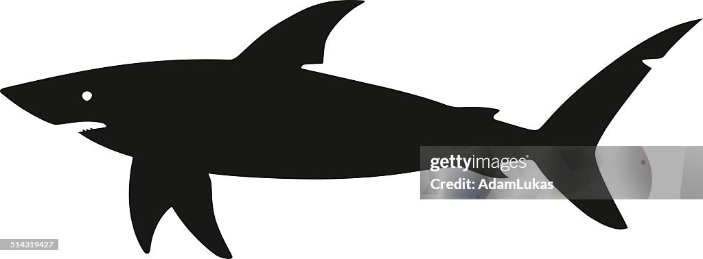 Shark silhouette