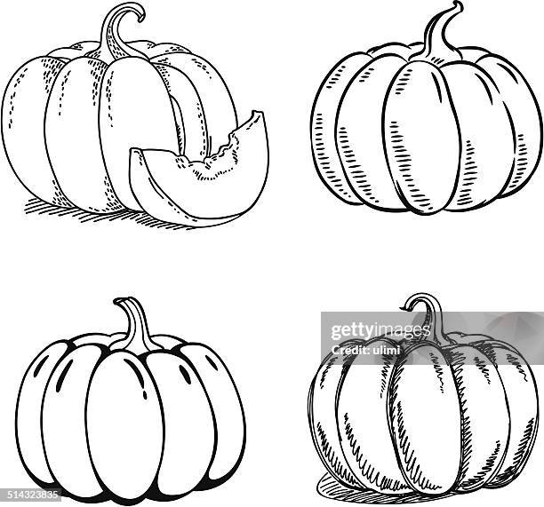 pumpkin - pumpkin stock illustrations