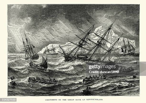 illustrations, cliparts, dessins animés et icônes de morue de la pêche sur la rive du 19ème siècle de terre-neuve - filet de pêche industrielle