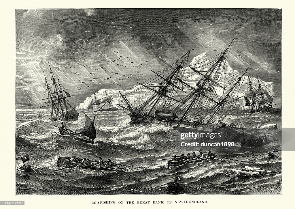 Cod fishing on the Great Bank Newfoundland 19th Century