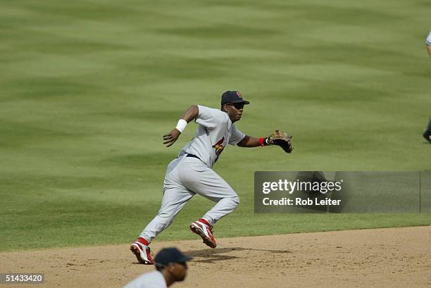 September 12: Shortstop Edgar Renteria of the St. Louis Cardinals fields the ball during the game against the Los Angeles Dodgers at Dodger Stadium...