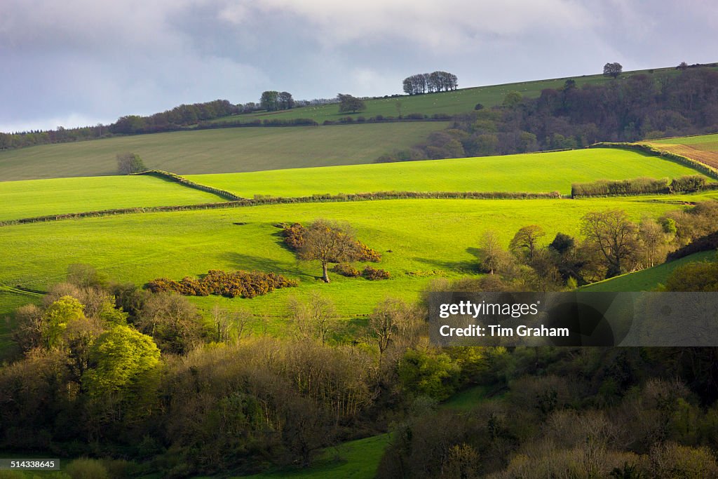 Exmoor National Park, Somerset, UK