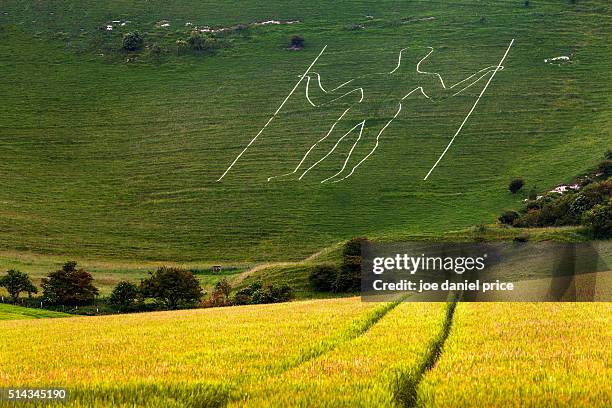 the long man of wilmington, sussex, england - long man of wilmington fotografías e imágenes de stock