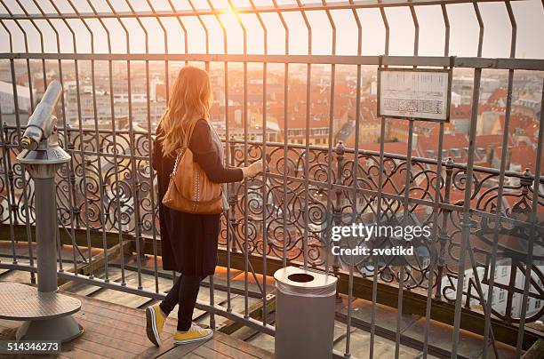 woman enjoying the view at sunset. - copenhagen tourist stock pictures, royalty-free photos & images