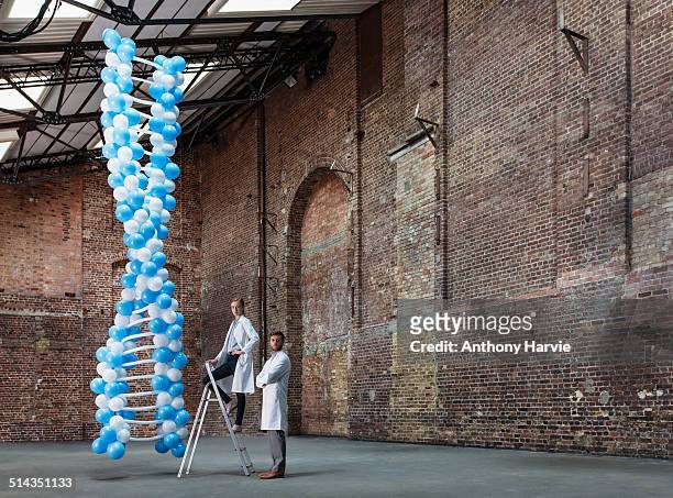 scientists in warehouse with dna made of balloons - portrait zwei männer wissenschaft stock-fotos und bilder